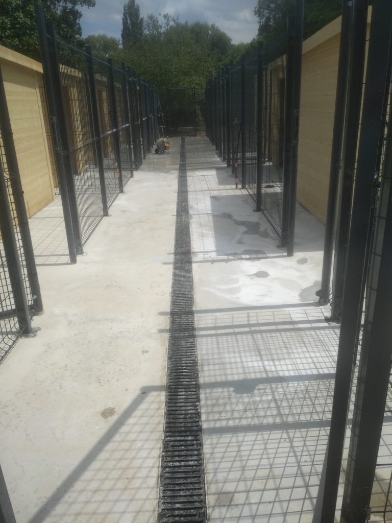 IMG_20200611_145935_01