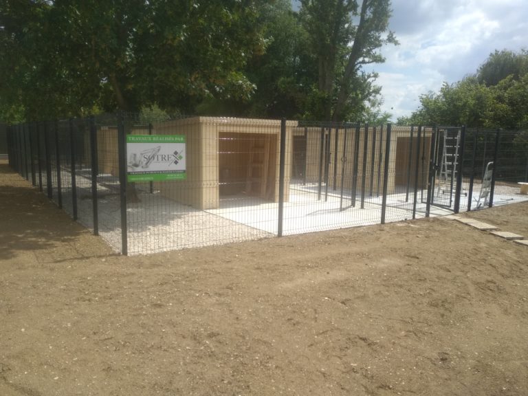 IMG_20200611_145935_04